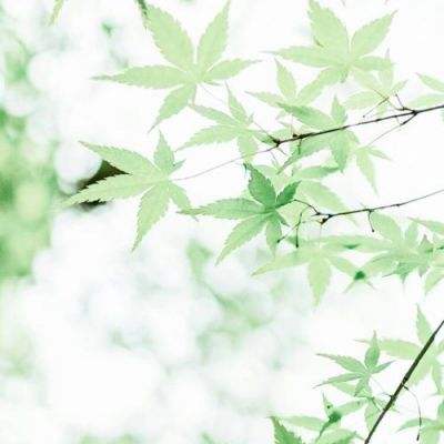 360新花千骨手游下载